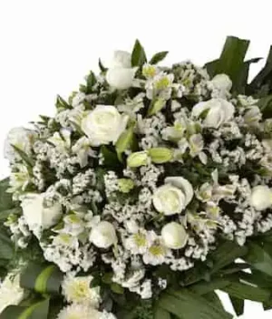 flores blancas