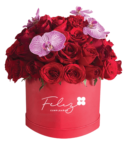 caja personalizada de rosas rojas